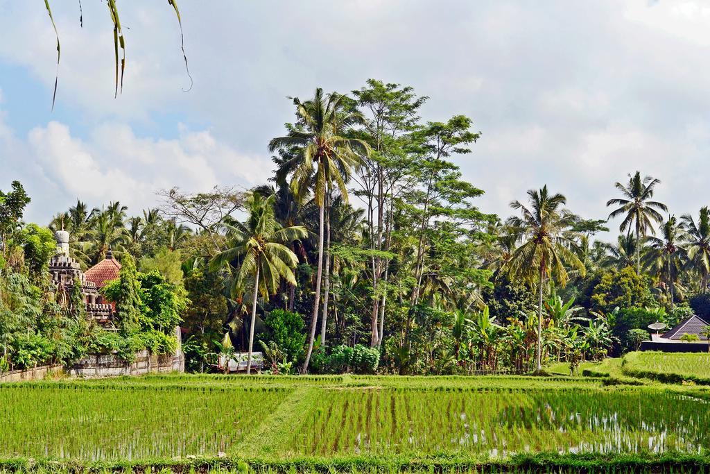 Ubud Kartini Hostel Экстерьер фото