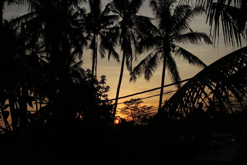 Ubud Kartini Hostel Экстерьер фото