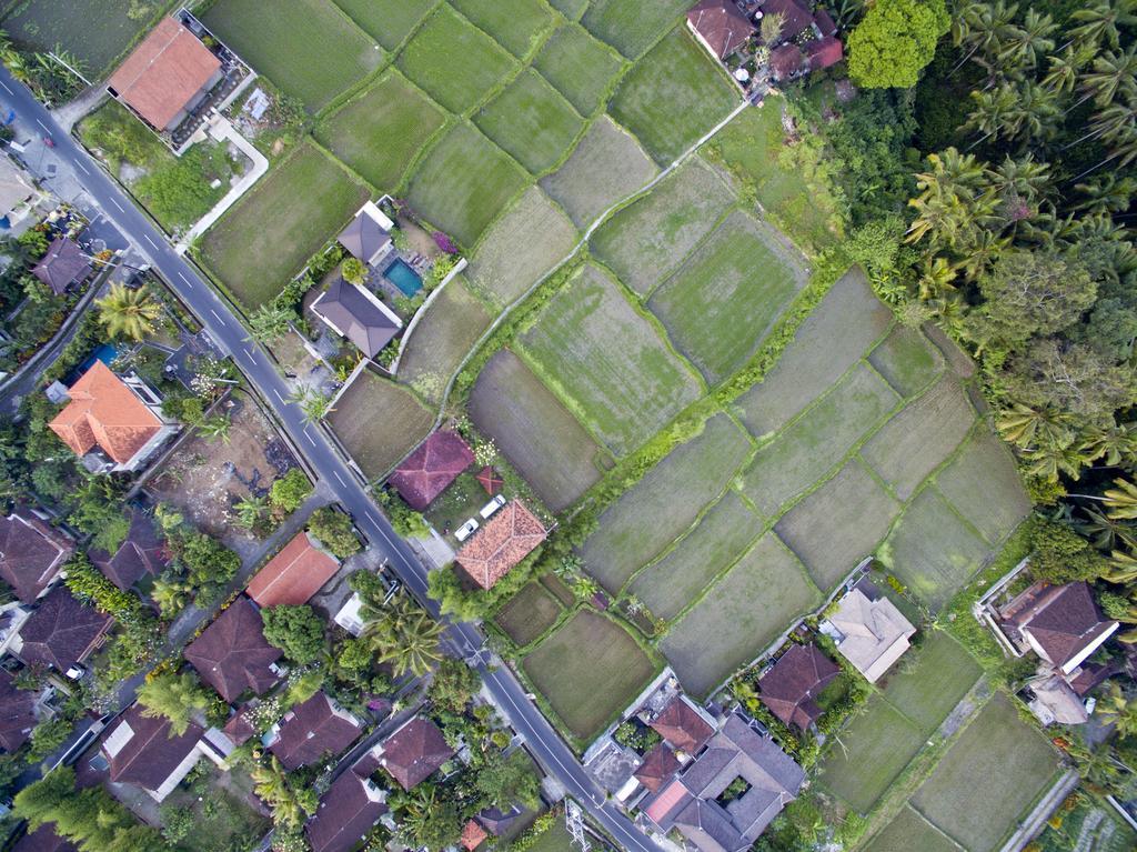 Ubud Kartini Hostel Экстерьер фото